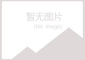 桂阳县紫山能源有限公司